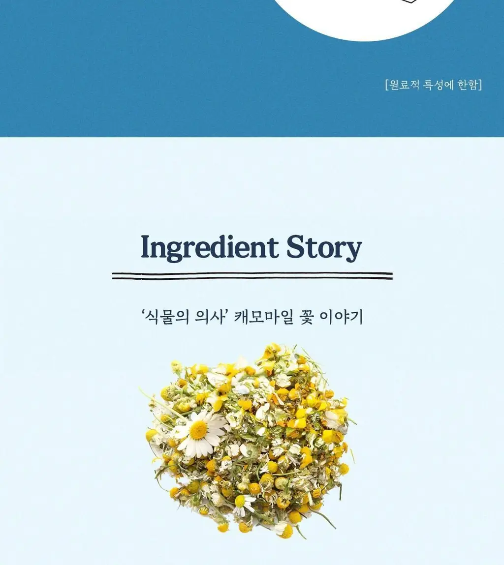 [NEW] 스킨푸드 블루 캐모마일 히알루로닉 마스크시트 10매 상세페이지 13